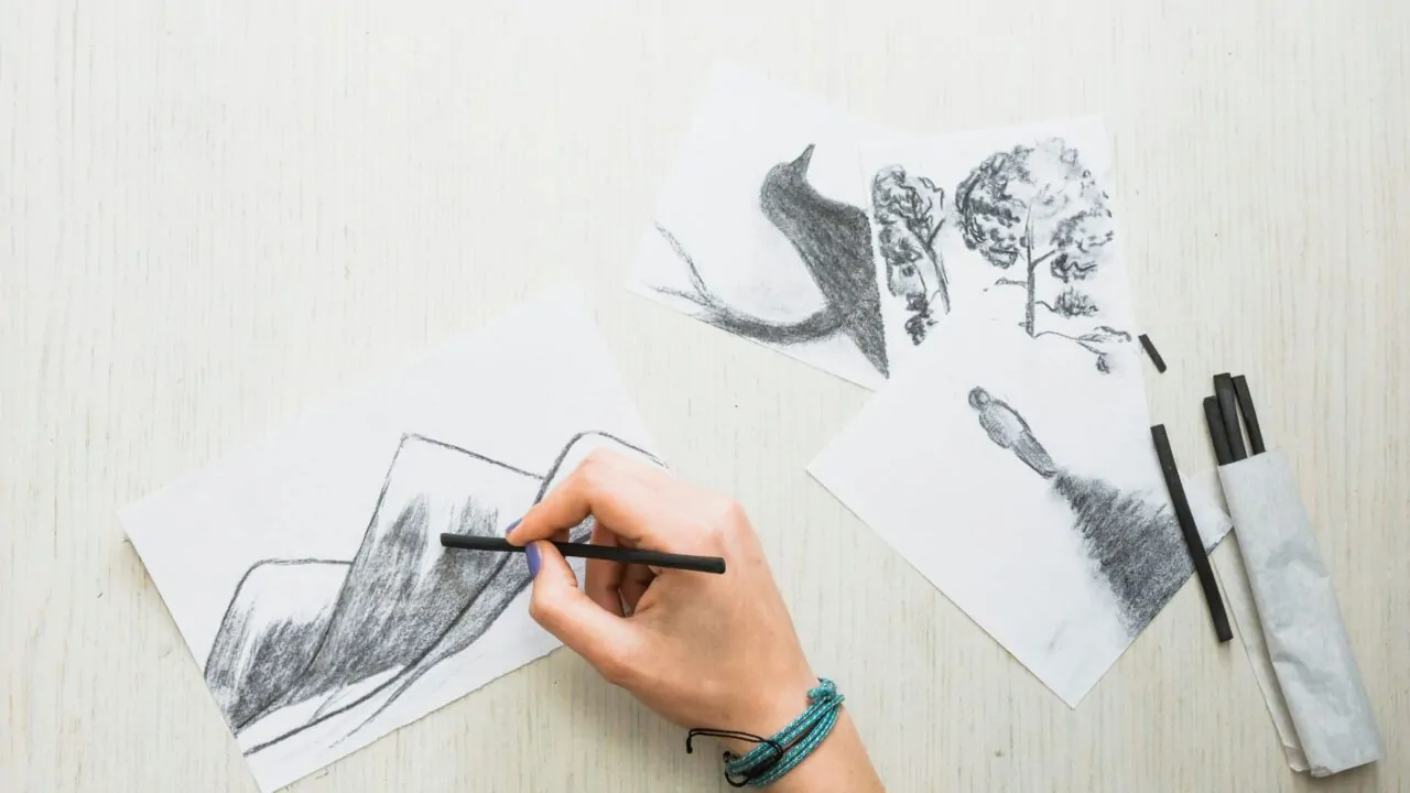 How to Draw Pencil Sketches for Beginners Step by Step?