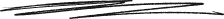 Vector